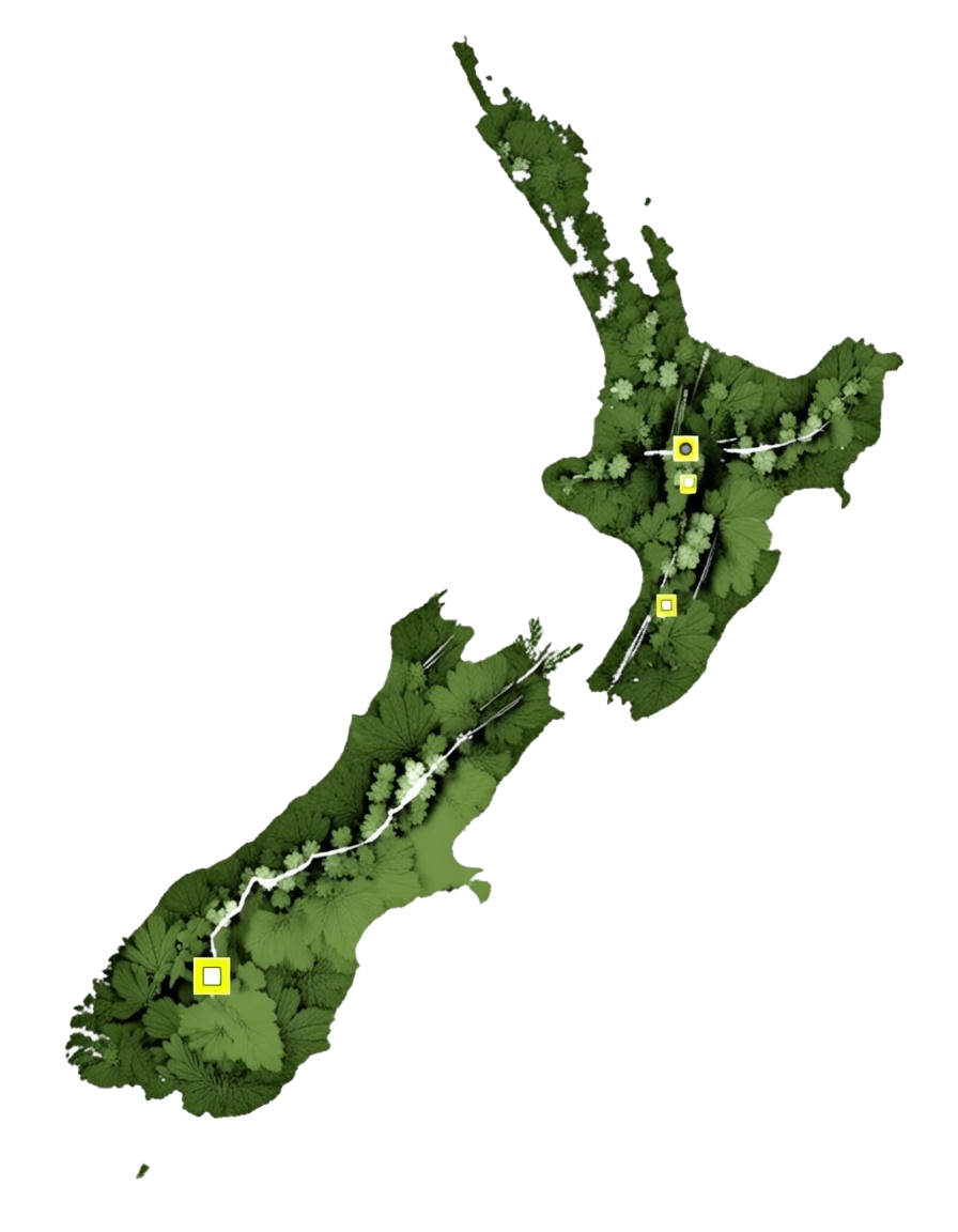 NZ Solar Map